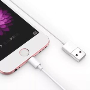 Cable Lightning